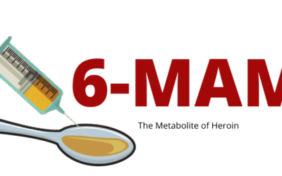Understanding 6-AM & 6-MAM: The Metabolite of Heroin