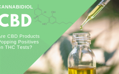 CBD Products Causing THC Positives?